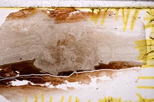 Plane Polarized, E34037