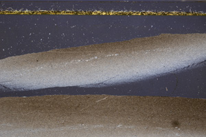 Cross Polarized, E34089