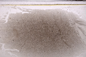 Plane Polarized, E34090