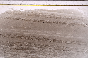 Plane Polarized, E34092