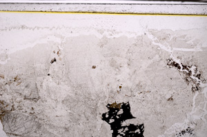 Plane Polarized, E34096