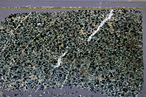 Cross Polarized, E34126