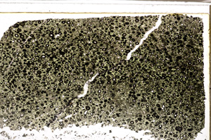 Plane Polarized, E34126