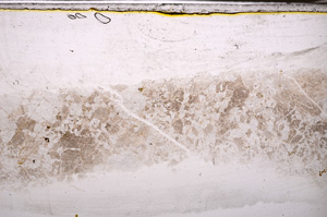 Plane Polarized, E34128