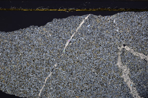 Cross Polarized, E34133