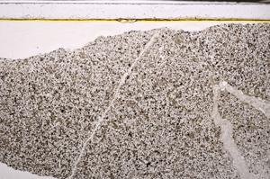 Plane Polarized, E34133