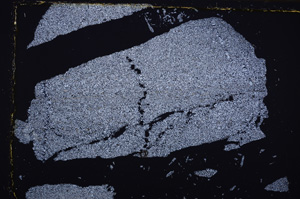 Cross Polarized, E34137