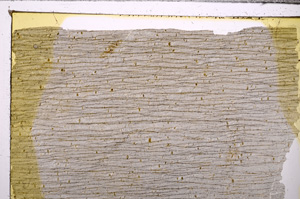 Plane Polarized, E34158