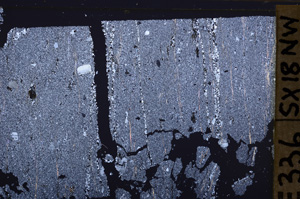 Cross Polarized, E34160