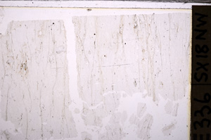 Plane Polarized, E34160