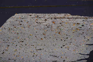 Cross Polarized, E34166