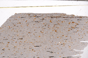 Plane Polarized, E34166