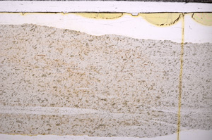Plane Polarized, E34167