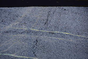 Cross Polarized, E34169