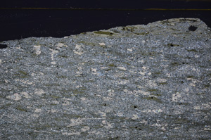 Cross Polarized, E34172
