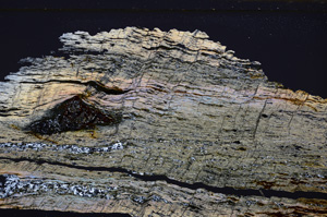 Cross Polarized, E34177