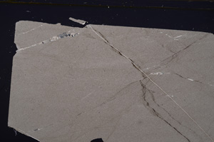 Cross Polarized, E34180