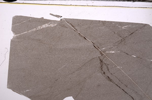 Plane Polarized, E34180