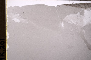 Plane Polarized, E34181