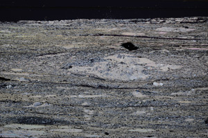 Cross Polarized, E34191