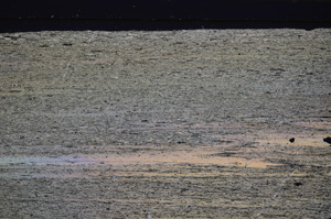 Cross Polarized, E34196