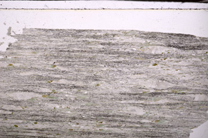Plane Polarized, E34204
