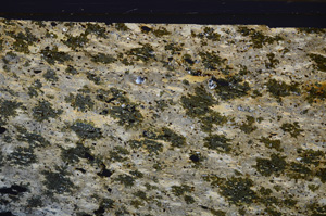 Cross Polarized, E34218