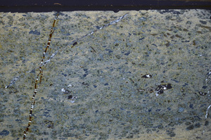 Cross Polarized, E34222