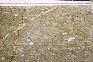 Plane Polarized, E34222