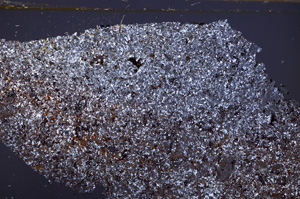 Cross Polarized, E34223