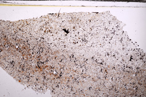 Plane Polarized, E34223