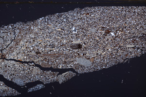 Cross Polarized, E34225