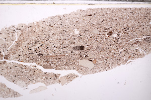 Plane Polarized, E34225