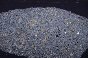 Cross Polarized, E34229