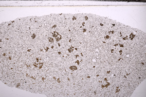 Plane Polarized, E34229