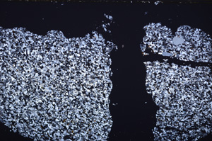 Cross Polarized, E34231