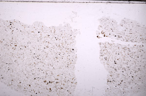 Plane Polarized, E34231