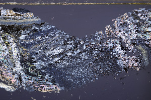 Cross Polarized, E34361