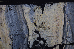 Cross Polarized, E34367