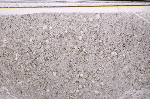 Plane Polarized, E34384