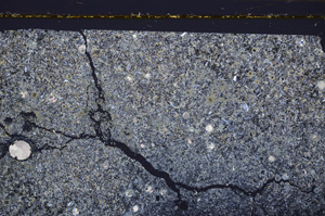 Cross Polarized, E34386