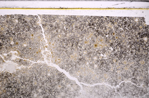 Plane Polarized, E34386