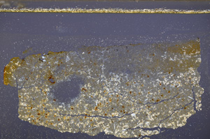 Cross Polarized, E34388