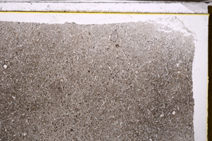 Plane Polarized, E34393