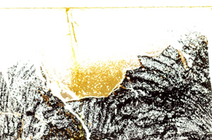 Plane Polarized, E34394