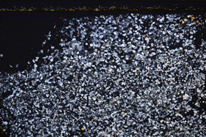 Cross Polarized, E34399