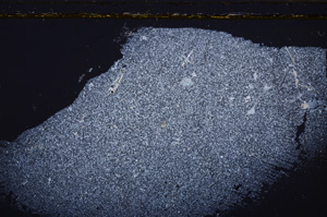 Cross Polarized, E34436