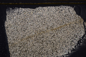 Cross Polarized, E34539