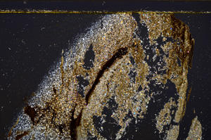 Cross Polarized, E34540