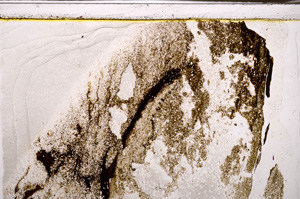 Plane Polarized, E34540